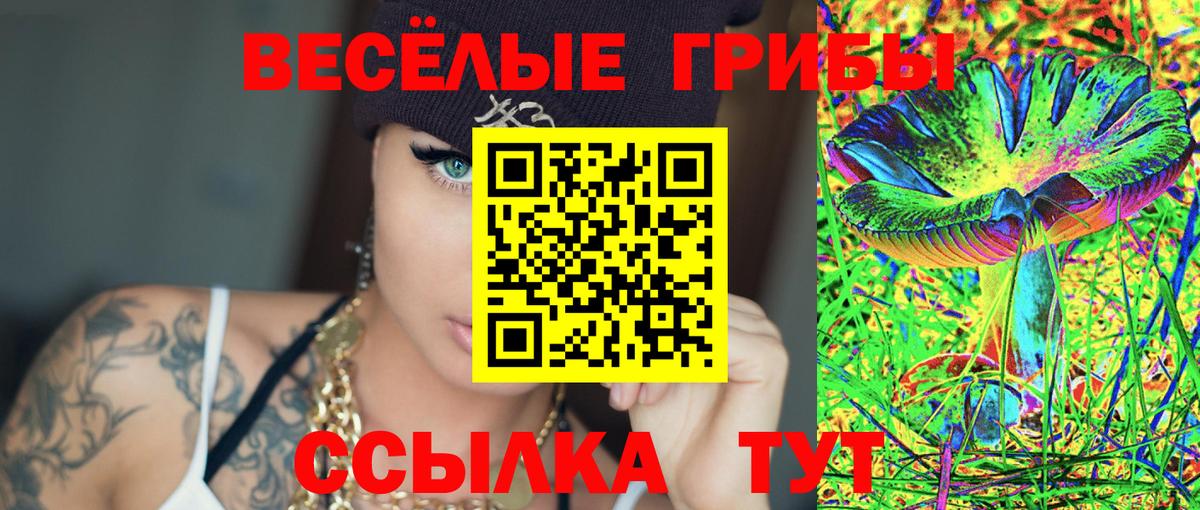 Псилоцибиновые грибы Psilocybine cubensis Ревда