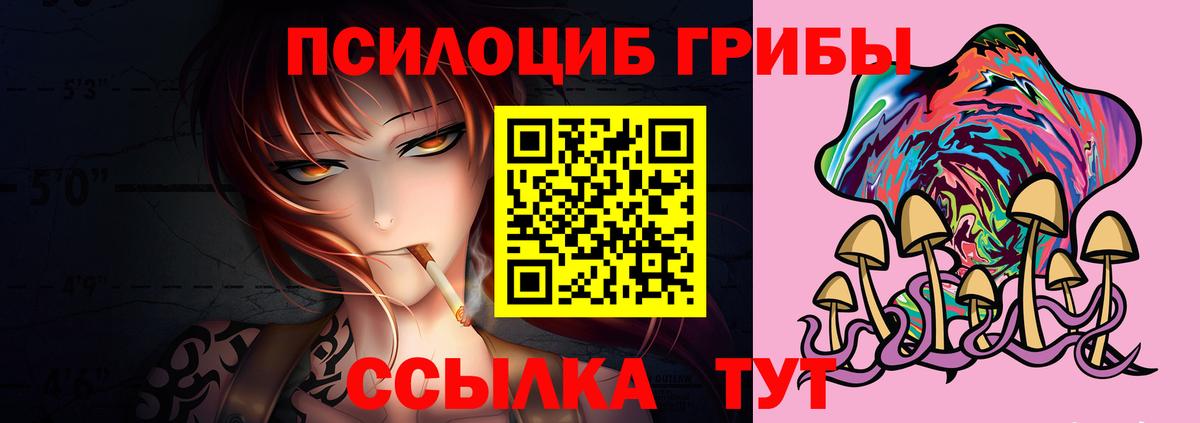 Ревда  Псилоцибиновые грибы мицелий  Псилоцибиновые грибы мицелий  Вход с VPN 