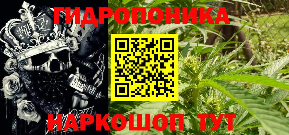 МАРИХУАНА план  Вход с VPN  Шишки марихуана Bruce Banner  Ревда  Канабис Amnesia 